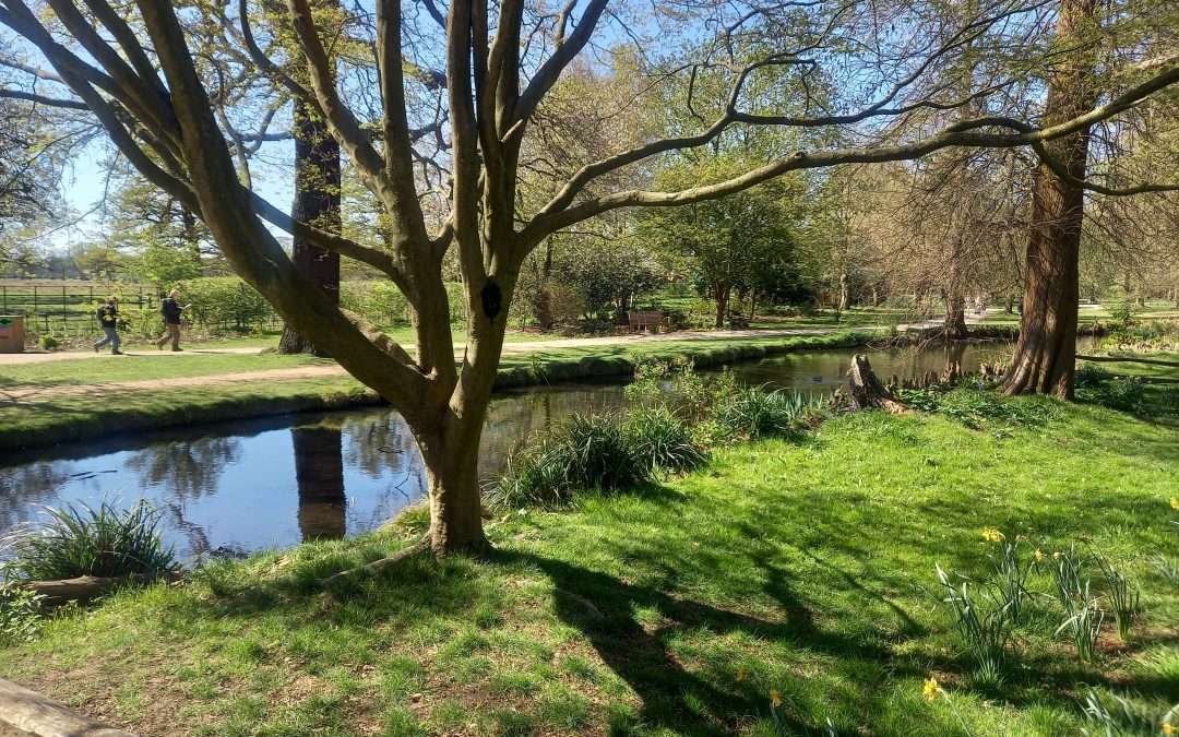 An additional photo from Mike taken in Bushy Park, today. Music: Eric Coates’s By the Sleepy Lagoon, the composer’s 1935 recording with the London Phil.