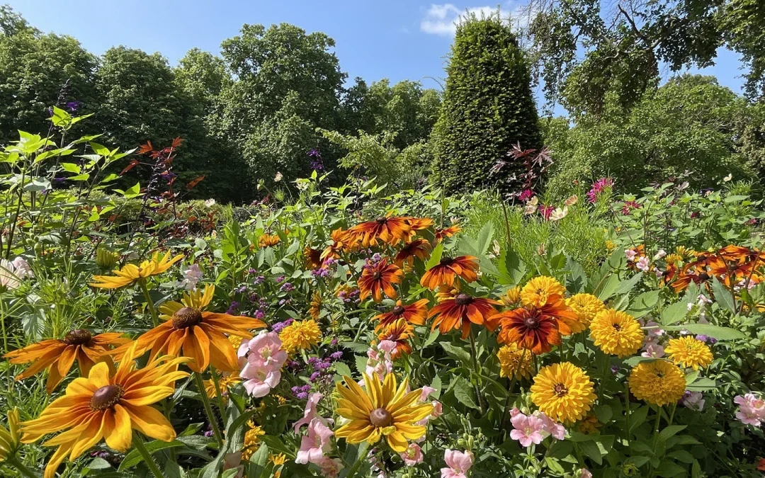 Welcome to July with a musical miscellany.